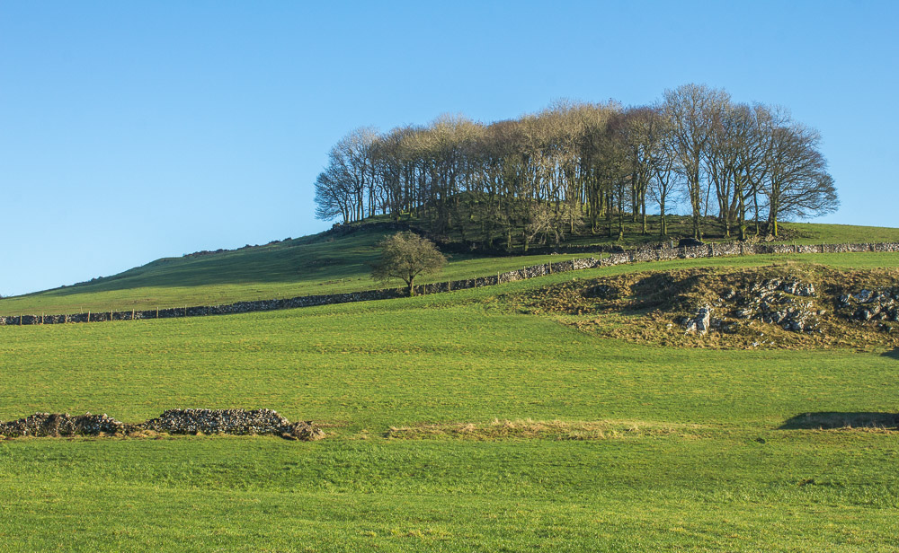 Low Plantation
